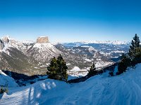 Tete Chevaliere 19-12-2021